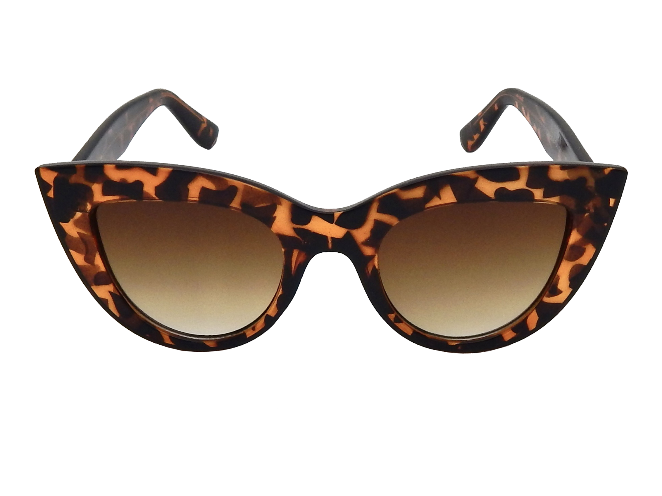 Óculos de sol - Colibri Jaguar